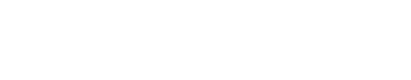 Gender Intelligence Group